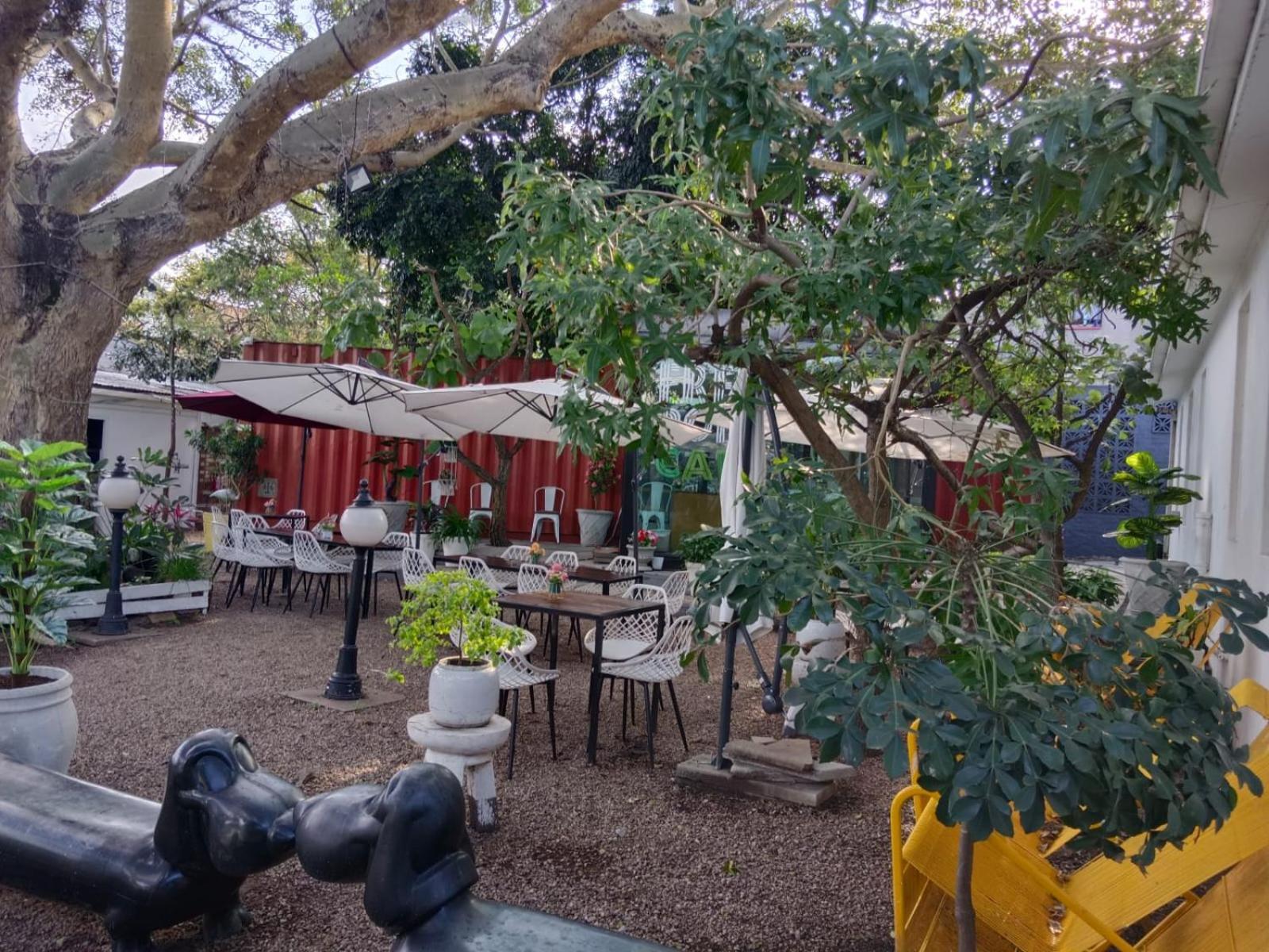 Concierge Hotel دوربان المظهر الخارجي الصورة